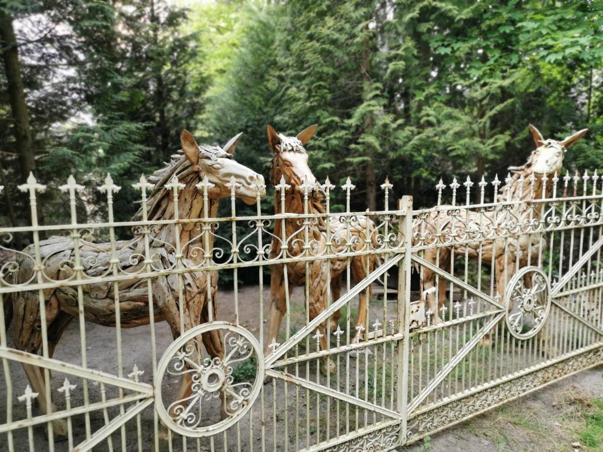 Ferienpark Leitzingen ゾルタウ エクステリア 写真